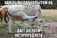 каждый удар копытом об лоб даёт до 10см натурпродукта