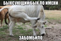 быксующий бык по имени забомбило