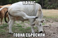 на нас говна сбросили