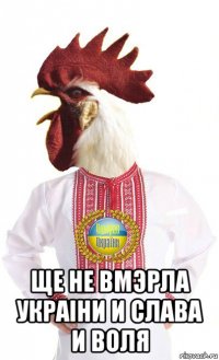  ще не вмэрла украiни и слава и воля