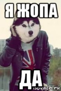 я жопа да