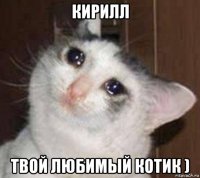 кирилл твой любимый котик )