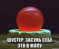  шустер, засунь себе это в жопу