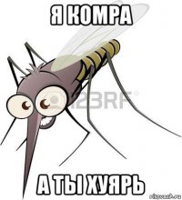 я комра а ты хуярь