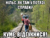 нільс. як там у потязі справи? куме, відгукнися!
