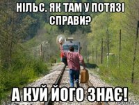 нільс. як там у потязі справи? а куй його знає!