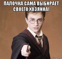 палочка сама выбирает своего хозяина! 
