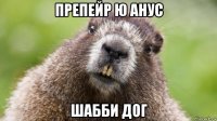 препейр ю анус шабби дог