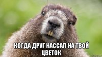  когда друг нассал на твой цветок