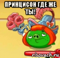 принцисон где же ты! 