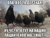 опа, вот та дерзкая! ну чё? кто тут на наших пацанчеков наезжает?