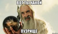 вот ты какой пуэрище