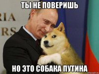 ты не поверишь но это собака путина