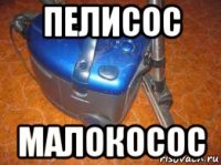 пелисос малокосос