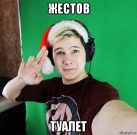 жестов туалет