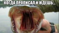 когда прописал и ждешь... 