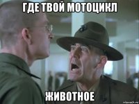где твой мотоцикл животное