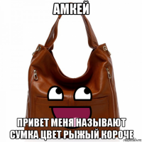 амкей привет меня называют сумка цвет рыжый короче