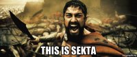 this is sekta