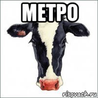 метро 