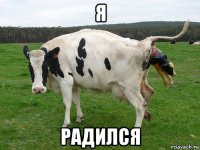 я радился