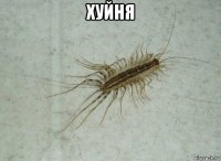 хуйня 