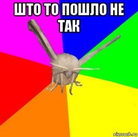 што то пошло не так 