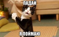 падай я поймаю