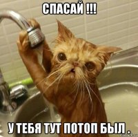 спасай !!! у тебя тут потоп был .