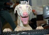 ухты 