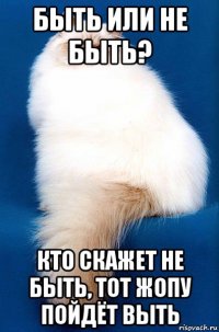 быть или не быть? кто скажет не быть, тот жопу пойдёт выть