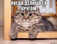 когда делишься кругом 