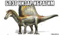 блэт низар ибрагим 