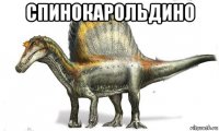 спинокарольдино 
