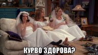  курво здорова?