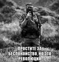  простите за беспокойство, но это революция