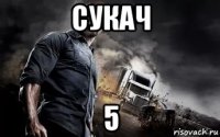 сукач 5