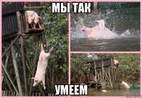 мы так умеем