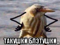  такушки блэтушки