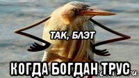  когда богдан трус