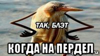  когда на пердел