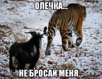 олечка... не бросай меня...