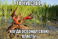 то чувство, когда осознал свою власть!