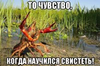 то чувство, когда научился свистеть!