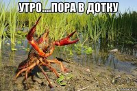 утро....пора в дотку 