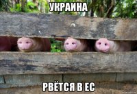 украина рвётся в ес
