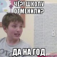 чё?! школу отменили? да на год