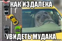 как издалека увидеть мудака
