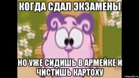 когда сдал экзамены но уже сидишь в армейке и чистишь картоху