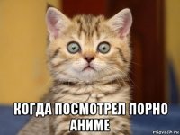  когда посмотрел порно аниме